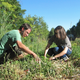 Image for article titled ‘Weed Dating’ Is the Biggest Conceptual Letdown You May Ever Read About